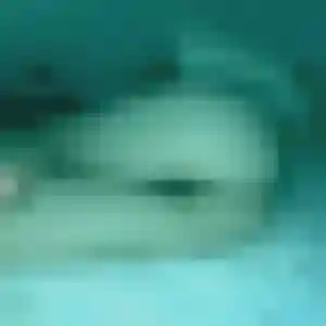 Soukeyna, 38 ans, connectée à Monterblanc pour une rencontre coquine