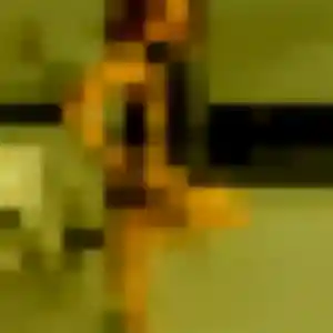 Belle Codou, 44 ans à Montferrier-sur-Lez - voir sa photo