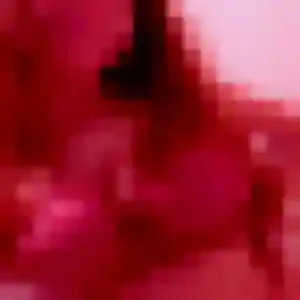 Olive (31 ans) à Montreuil-Bellay propose une rencontre aujourd'hui