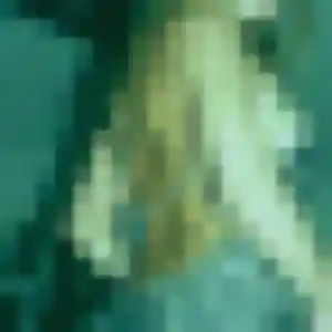 Profil de Mireille à Montreuil-sous-Pérouse (35 ans) - plan cul anonyme