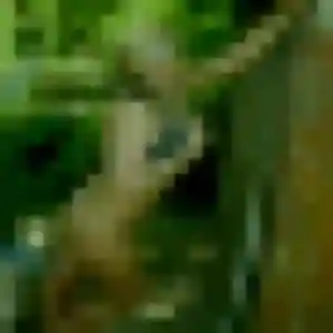 Ketty, femme de 38 ans propose plan cul à Moustiers-Sainte-Marie