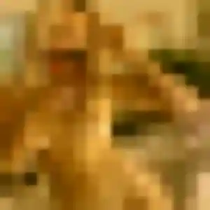 Profil de Josiane à Naucelles (41 ans) - plan cul anonyme