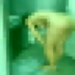 Photo privée de Sarjo, 30 ans à Nauroy - rencontre coquine