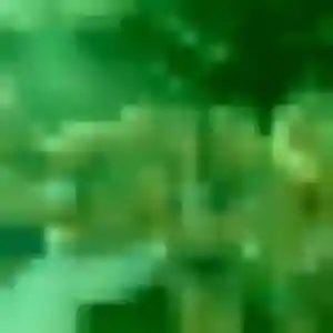 Codou, femme de 29 ans veut plan cul à Neufchef