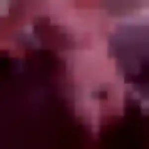 Profil de Yasmine à Neufchef (25 ans) - plan cul gratuit