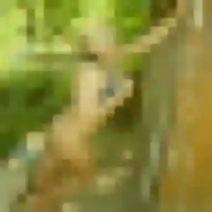 Contacte Naomie, 43 ans à Neuvy-Pailloux en privé