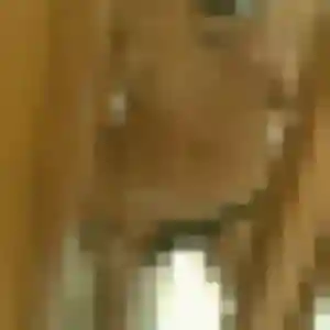 Profil de Delphine à Niort (24 ans) - plan cul anonyme
