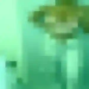 Photo exclusive de Mireille, 44 ans à Nivillac - rencontre coquine