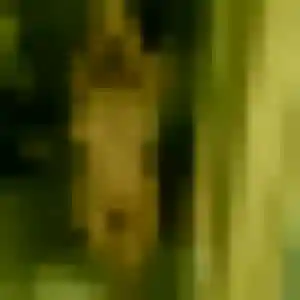 Contacte Kimberley, 37 ans à Oberhausbergen en privé