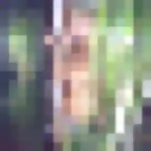 Oulimata, 39 ans, disponible à Objat pour une rencontre coquine