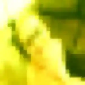 Photo de Bukola à Orliénas (45 ans) - plan cul discret