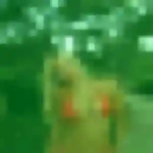 Photo de Akinyi à Orschwiller (34 ans) - plan cul anonyme