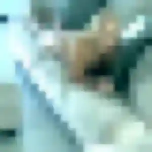 Neneh, 42 ans, connectée à Osselle-Routelle pour une rencontre coquine