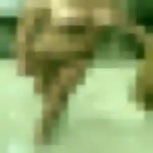 Photo perso de Safi, 44 ans à Otterswiller - rencontre sans lendemain
