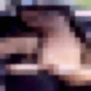Adeline (34 ans) à Outreau propose une rencontre rapidement