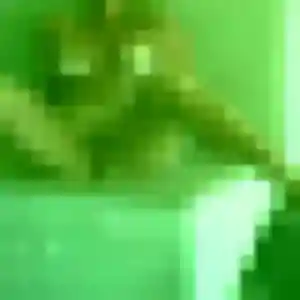 Contacte Delphine, 26 ans à Paimbœuf en privé
