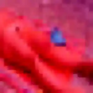 Belle Afia, 38 ans à Papaichton - découvrir son profil