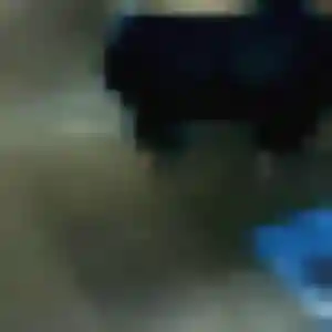 Adja (39 ans) à Peri cherche un plan cul maintenant