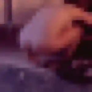 Aïcha, femme de 34 ans propose plan cul à Pinsac