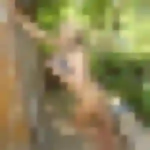 Charmante Ketty, 31 ans à Pionnat - la contacter