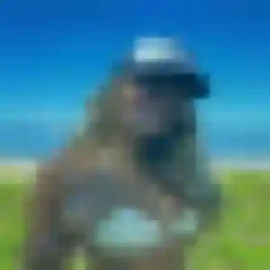 Belle Tabitha, 26 ans à Plénée-Jugon - découvrir son profil