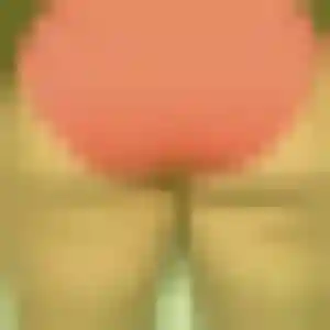 Photo perso de Naïma, 24 ans à Pléneuf-Val-André - rencontre coquine