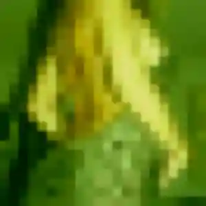 Photo perso de Élise, 34 ans à Ploufragan - rencontre coquine