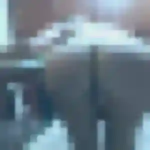 plan cul à Pontlevoy : photo de Héloïse, 26 ans - accès libre