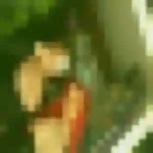 Profil de Delphine à Quilly (35 ans) - plan cul anonyme