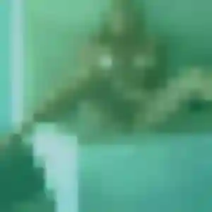 Photo de Dado à Raizeux (28 ans) - plan cul discret