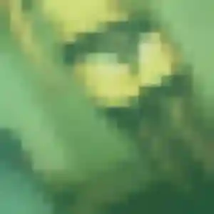 Kadiatou (31 ans) à Rhinau cherche une rencontre ce soir