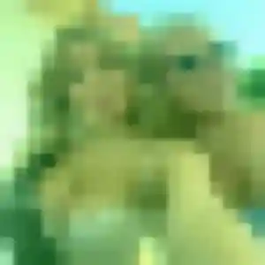 Photo exclusive de Anaïs, 35 ans à Riantec - rencontre coquine