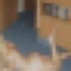 Photo sexy de Omolara, 39 ans à Roiffé - plan discret