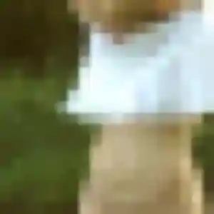 Photo exclusive de Maëlys, 42 ans à Saint-Août - rencontre coquine