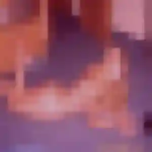 Carine, 31 ans, cherche un plan cul à Saint-Aubin-sur-Mer