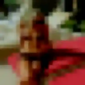 Photo perso de Sixtine, 36 ans à Saint-Barthélemy-d'Anjou - rencontre coquine