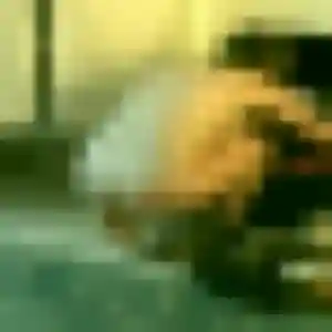 Contacte Fanny, 38 ans à Saint-Benoît-la-Forêt en privé