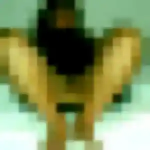 Photo exclusive de Ketsia, 37 ans à Saint-Fargeau - plan discret