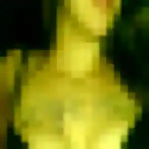 Francine de Saint-Just-Sauvage, 40 ans - plan cul discret