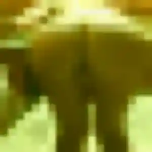 Gwenaëlle, 34 ans, cherche un plan cul à Saint-Léger-de-Montbrun