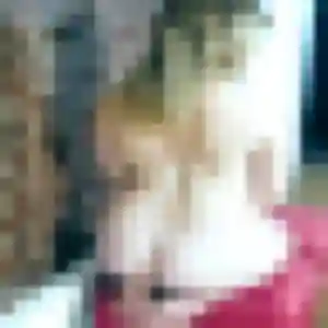 Photo de Adaeze à Saint-Louis (36 ans) - plan cul gratuit