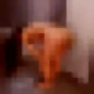 Photo exclusive de Léonie, 28 ans à Saint-Michel - rencontre coquine