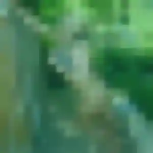 Titi (38 ans) à Saint-Paul-les-Fonts cherche une rencontre rapidement