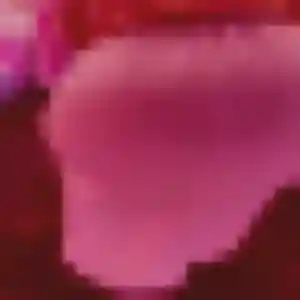 Contacte Gwenaëlle, 25 ans à Saint-Sauveur en t'inscrivant