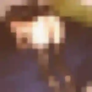 Farida, femme de 36 ans cherche plan cul à Saint-Sauveur-en-Puisaye