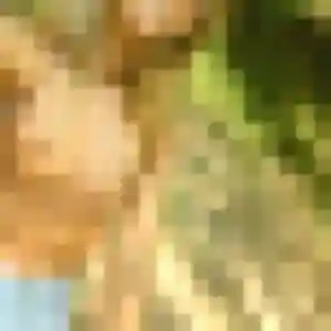 plan cul à Sainte-Hélène : photo de Stacy, 22 ans - sans engagement