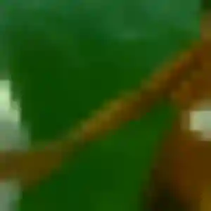 Favour, 44 ans, disponible à Sainte-Mesme pour une rencontre coquine