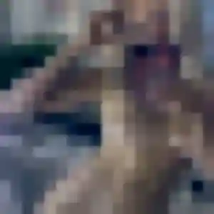 Contacte Jumoke, 38 ans à Sambin gratuitement
