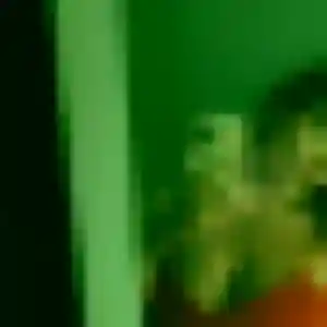 Contacte Suzanne, 25 ans à Saumane-de-Vaucluse en privé