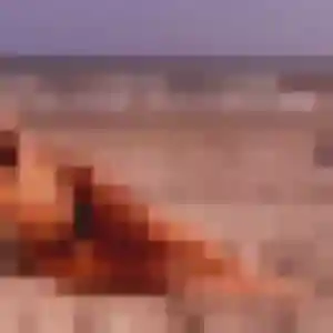 Photo sexy de Adélaïde, 24 ans à Schœneck - rencontre sans lendemain